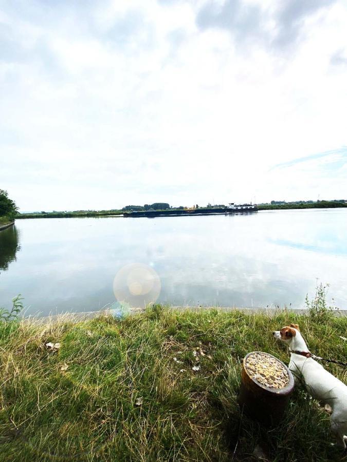 Huisje Aan De Schelde Spiere Εξωτερικό φωτογραφία