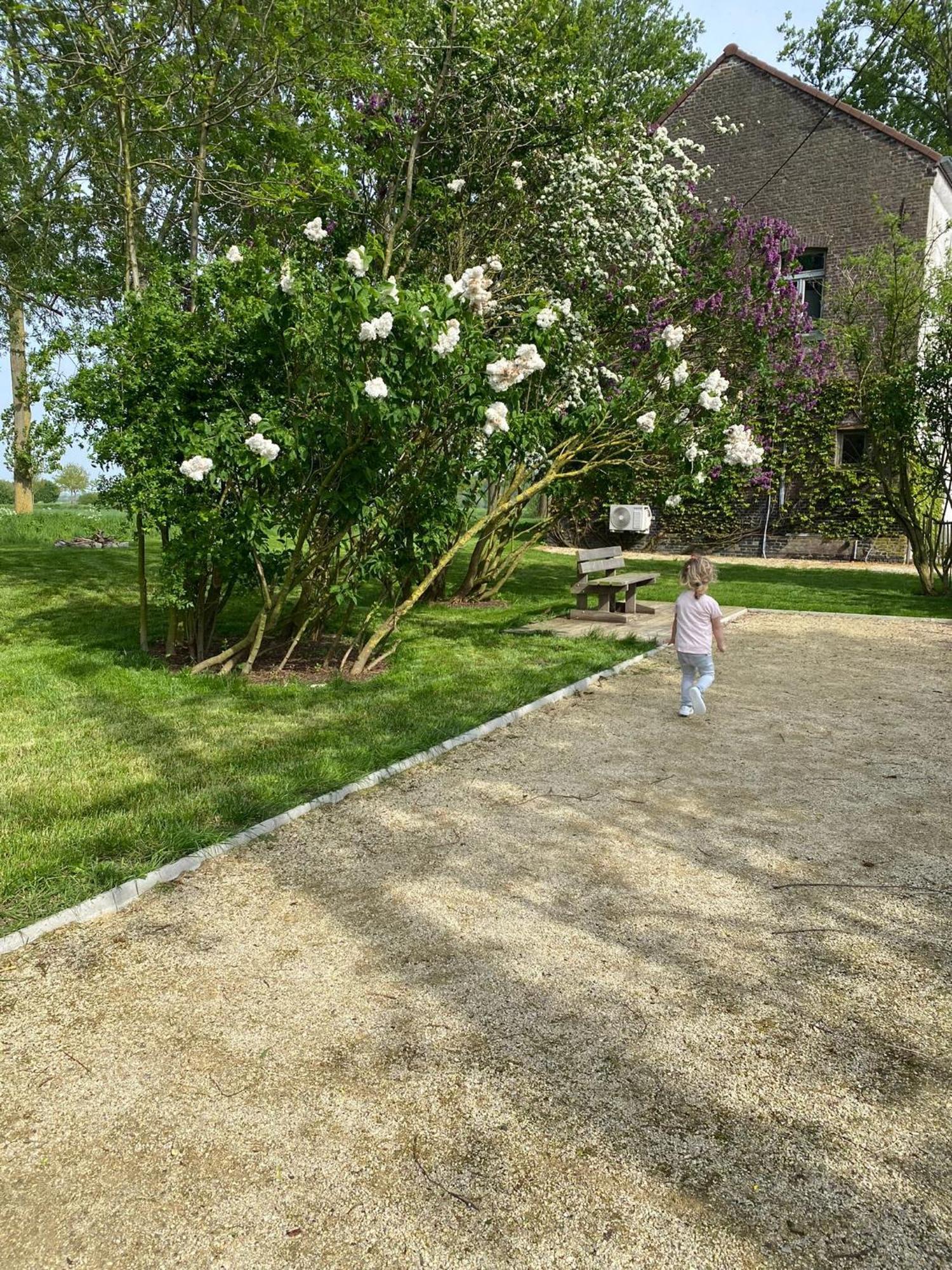 Huisje Aan De Schelde Spiere Εξωτερικό φωτογραφία